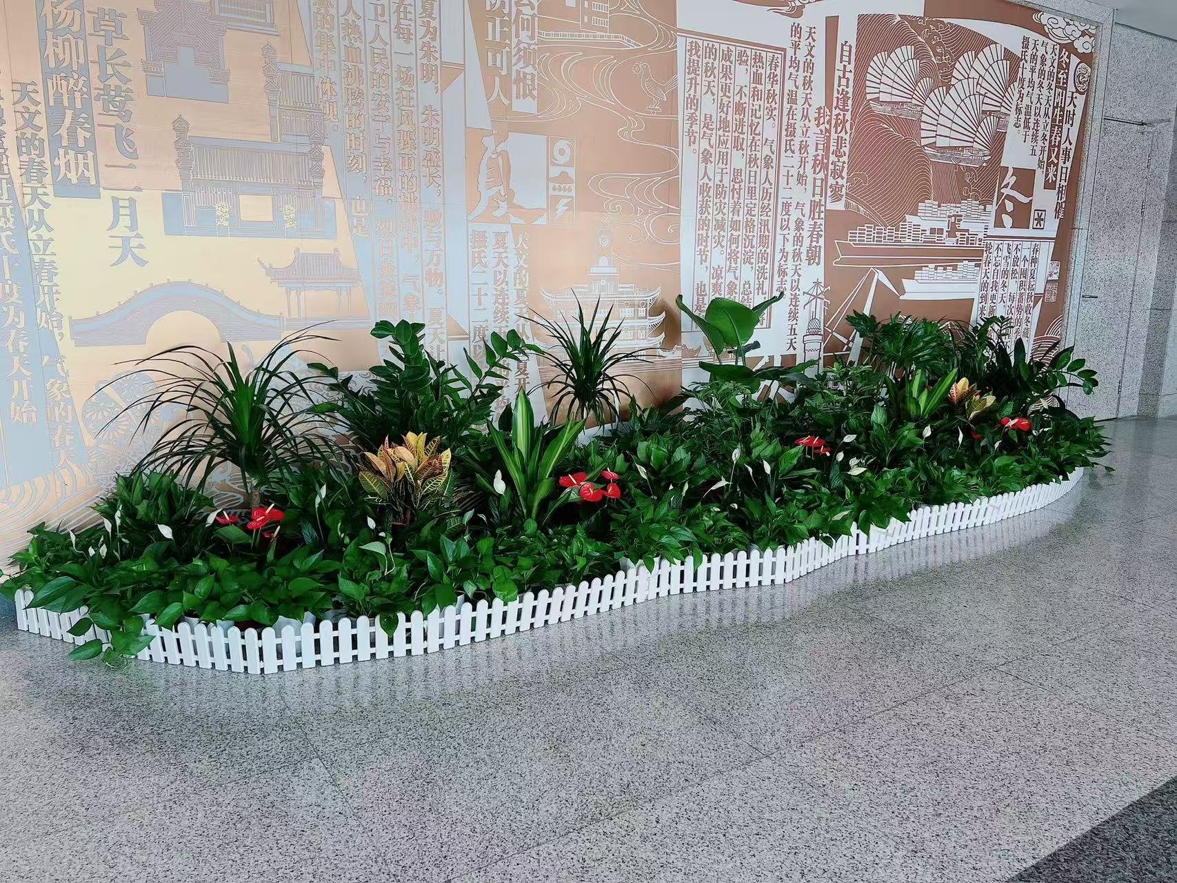 了解江北花卉出租方案，让花卉扮靓你的世界